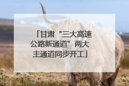 甘肃“三大高速公路新通道”两大主通道同步开工