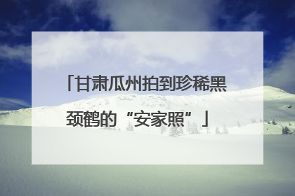 甘肃瓜州拍到珍稀黑颈鹤的“安家照”