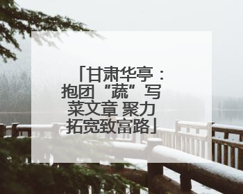 甘肃华亭：抱团“蔬”写菜文章 聚力拓宽致富路