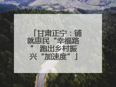 甘肃正宁：铺就惠民“幸福路” 跑出乡村振兴“加速度”