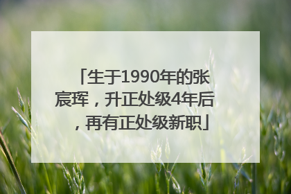 生于1990年的张宸珲，升正处级4年后，再有正处级新职