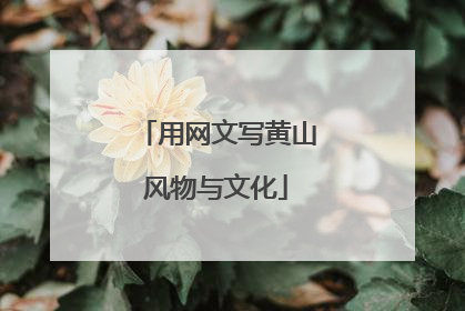 用网文写黄山风物与文化