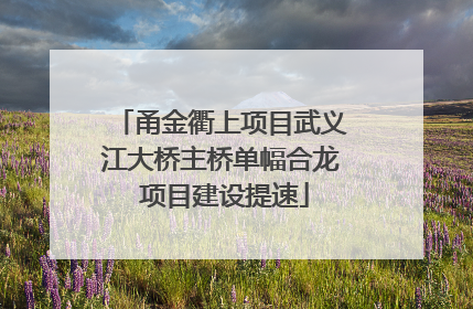甬金衢上项目武义江大桥主桥单幅合龙 项目建设提速