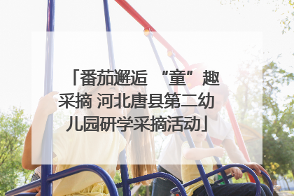 番茄邂逅 “童”趣采摘 河北唐县第二幼儿园研学采摘活动