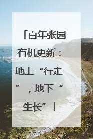 百年张园有机更新：地上“行走”，地下“生长”