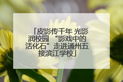 皮影传千年 光影润校园 “影戏中的活化石”走进通州五接滨江学校