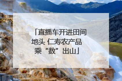 直播车开进田间地头 仁寿农产品乘“数”出山