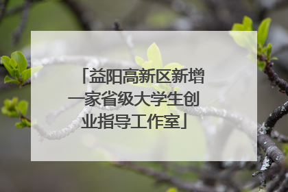 益阳高新区新增一家省级大学生创业指导工作室