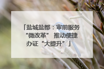盐城盐都：审前服务“微改革” 推动便捷办证“大提升”