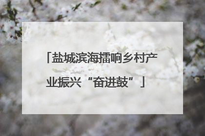 盐城滨海擂响乡村产业振兴“奋进鼓”