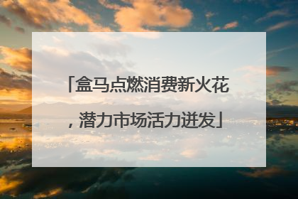 盒马点燃消费新火花，潜力市场活力迸发