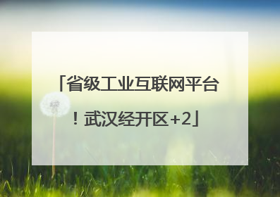 省级工业互联网平台！武汉经开区+2