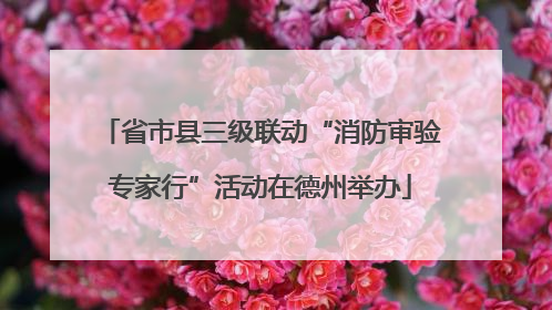省市县三级联动“消防审验专家行”活动在德州举办