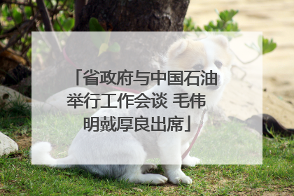 省政府与中国石油举行工作会谈 毛伟明戴厚良出席