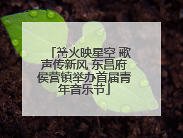 篝火映星空 歌声传新风 东昌府侯营镇举办首届青年音乐节