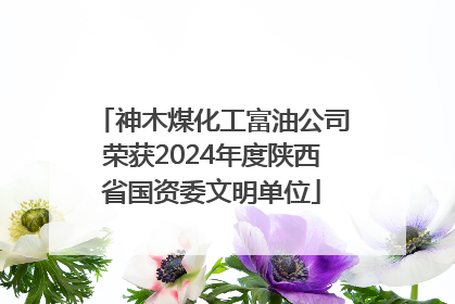 神木煤化工富油公司荣获2024年度陕西省国资委文明单位