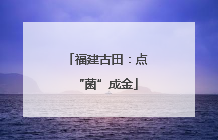 福建古田：点“菌”成金