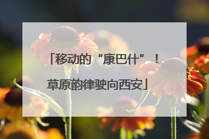 移动的“康巴什”！草原韵律驶向西安
