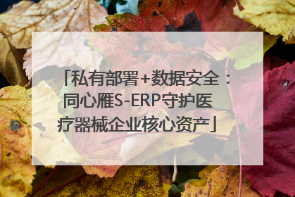 私有部署+数据安全：同心雁S-ERP守护医疗器械企业核心资产