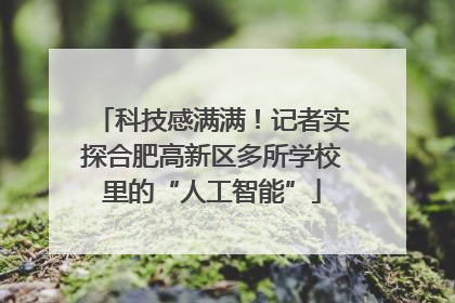 科技感满满！记者实探合肥高新区多所学校里的“人工智能”