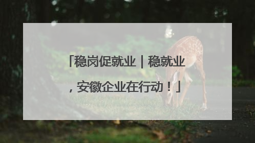 稳岗促就业｜稳就业，安徽企业在行动！