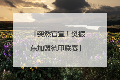 突然官宣！樊振东加盟德甲联赛