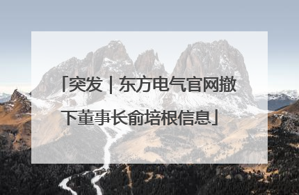 突发｜东方电气官网撤下董事长俞培根信息