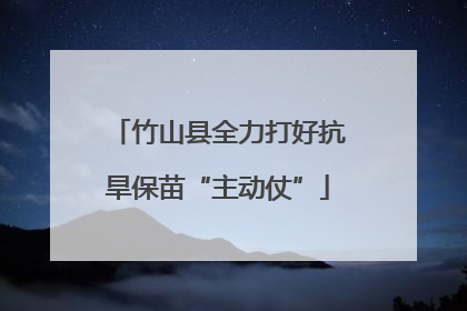 竹山县全力打好抗旱保苗“主动仗”