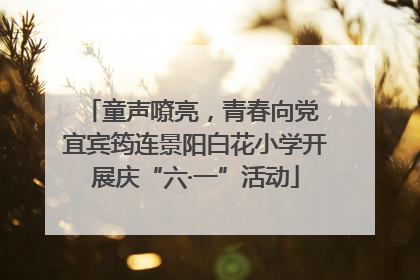 童声嘹亮，青春向党 宜宾筠连景阳白花小学开展庆“六·一”活动