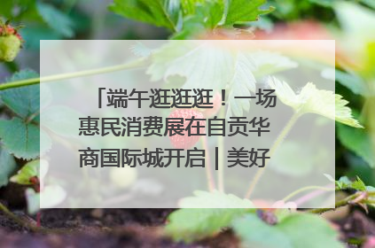 端午逛逛逛！一场惠民消费展在自贡华商国际城开启｜美好生活有“盐”味