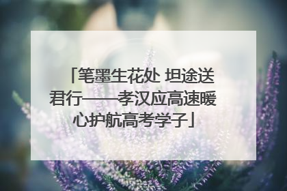 笔墨生花处 坦途送君行——孝汉应高速暖心护航高考学子