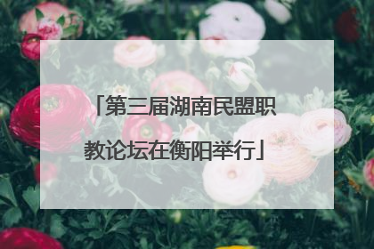 第三届湖南民盟职教论坛在衡阳举行