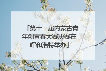 第十一届内蒙古青年创青春大赛决赛在呼和浩特举办