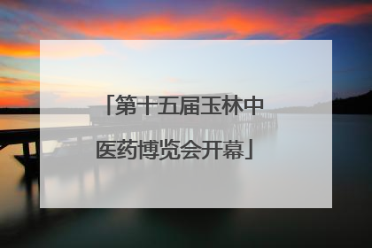 第十五届玉林中医药博览会开幕