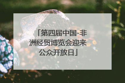 第四届中国-非洲经贸博览会迎来公众开放日