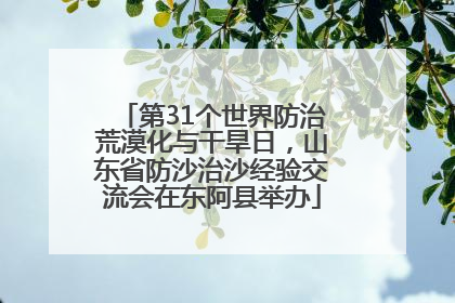 第31个世界防治荒漠化与干旱日，山东省防沙治沙经验交流会在东阿县举办