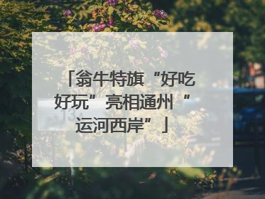 翁牛特旗“好吃好玩”亮相通州“运河西岸”