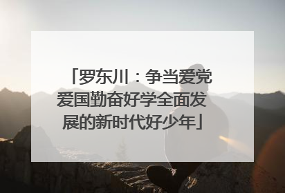 罗东川：争当爱党爱国勤奋好学全面发展的新时代好少年