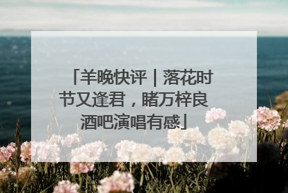 羊晚快评｜落花时节又逢君，睹万梓良酒吧演唱有感