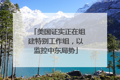 美国证实正在组建特别工作组，以监控中东局势