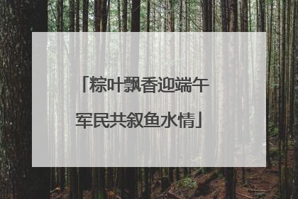 粽叶飘香迎端午 军民共叙鱼水情