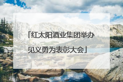 红太阳酒业集团举办见义勇为表彰大会