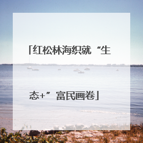 红松林海织就“生态+”富民画卷