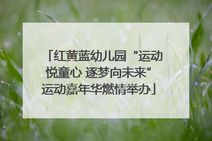 红黄蓝幼儿园“运动悦童心 逐梦向未来”运动嘉年华燃情举办