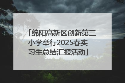 绵阳高新区创新第三小学举行2025春实习生总结汇报活动