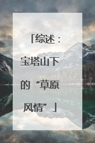 综述：宝塔山下的“草原风情”