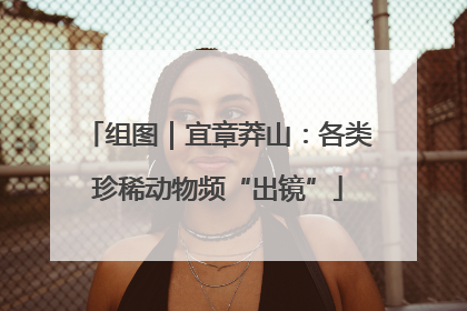 组图｜宜章莽山：各类珍稀动物频“出镜”