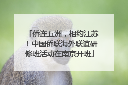 侨连五洲，相约江苏！中国侨联海外联谊研修班活动在南京开班