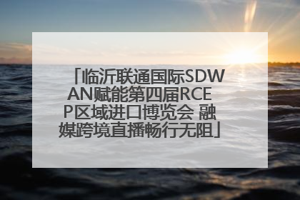 临沂联通国际SDWAN赋能第四届RCEP区域进口博览会 融媒跨境直播畅行无阻