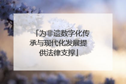 为非遗数字化传承与现代化发展提供法律支撑